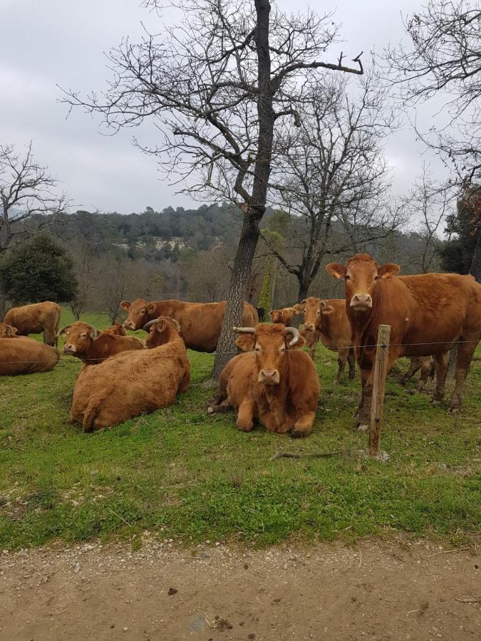 Harveys Homestay - Adults Only Mieres  ภายนอก รูปภาพ